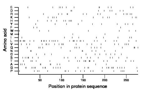 amino acid map