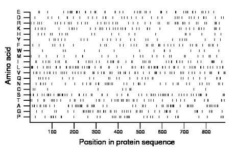 amino acid map