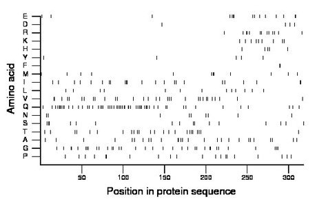 amino acid map