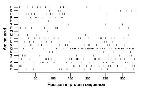 amino acid map