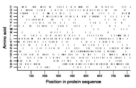 amino acid map