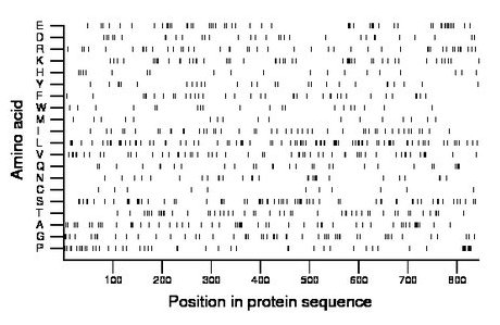 amino acid map