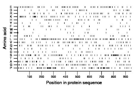 amino acid map