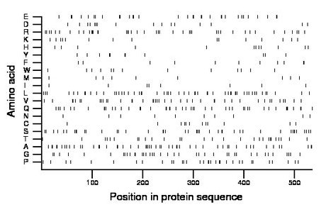 amino acid map