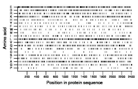 amino acid map