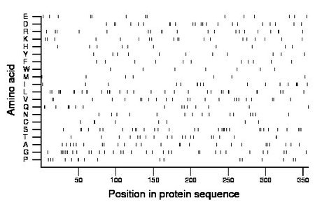 amino acid map