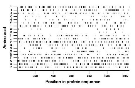 amino acid map