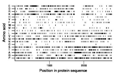 amino acid map