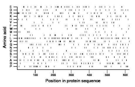 amino acid map