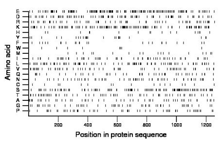 amino acid map