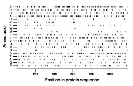 amino acid map