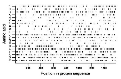 amino acid map