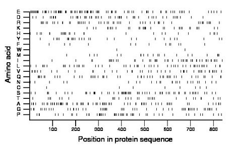 amino acid map