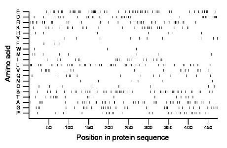 amino acid map