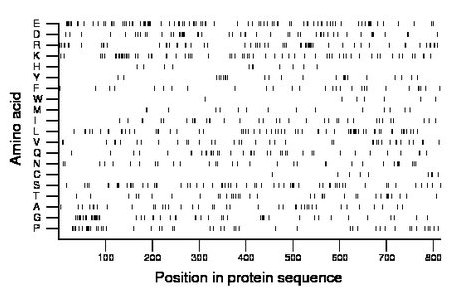 amino acid map