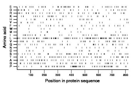 amino acid map