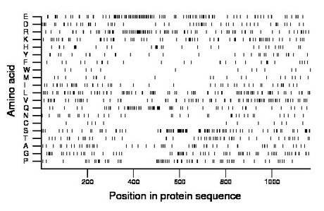 amino acid map