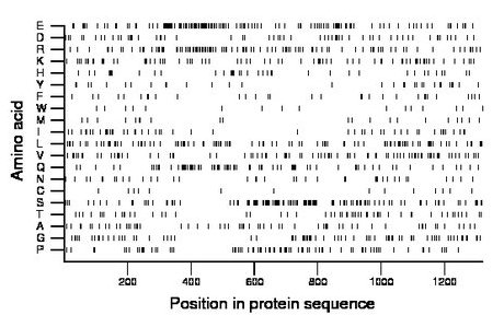 amino acid map