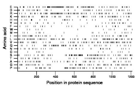 amino acid map