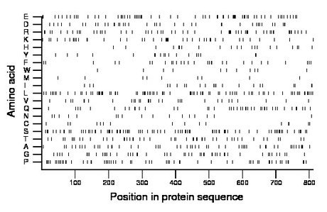 amino acid map