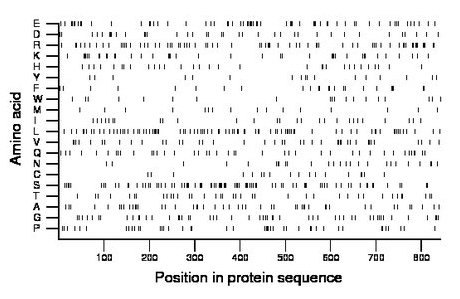 amino acid map