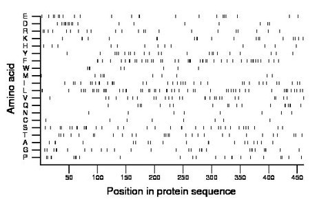 amino acid map