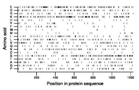 amino acid map