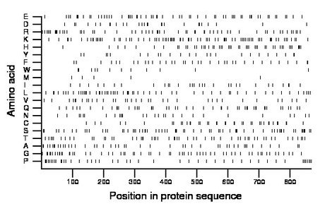 amino acid map