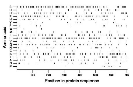 amino acid map