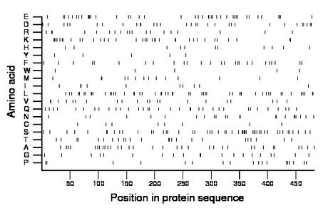 amino acid map