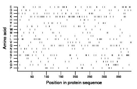 amino acid map