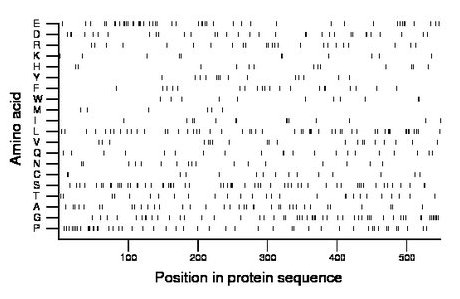 amino acid map