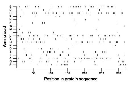 amino acid map