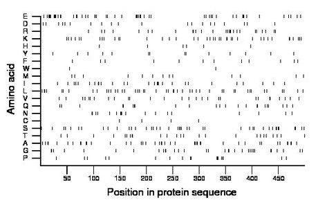 amino acid map