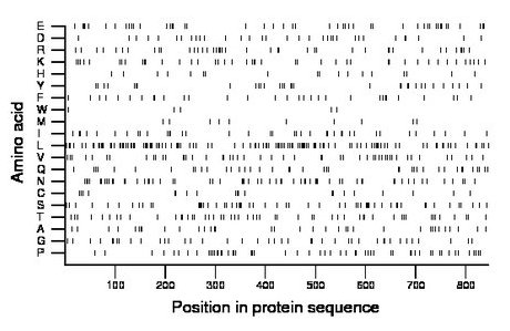 amino acid map