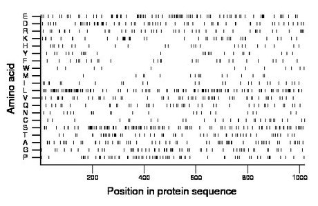 amino acid map