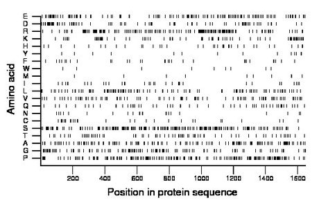 amino acid map