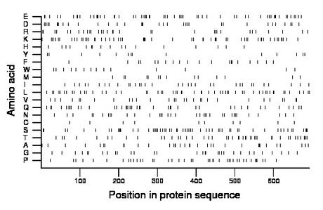 amino acid map