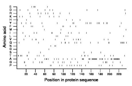 amino acid map