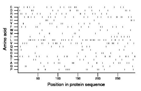 amino acid map