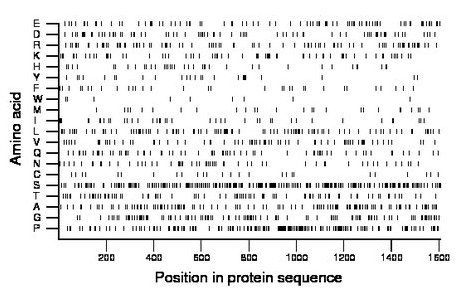 amino acid map