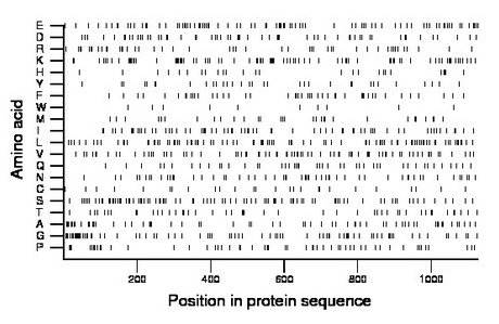 amino acid map