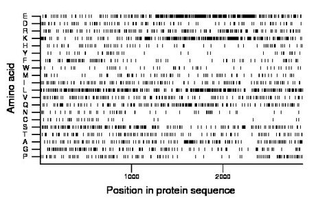 amino acid map