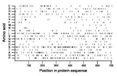 amino acid map