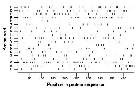 amino acid map