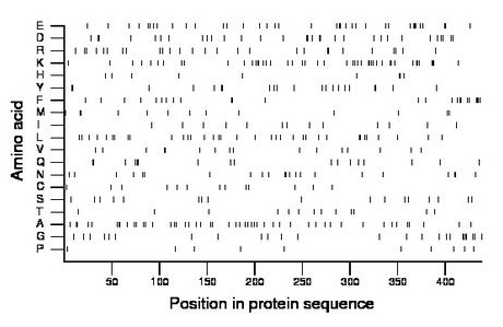 amino acid map