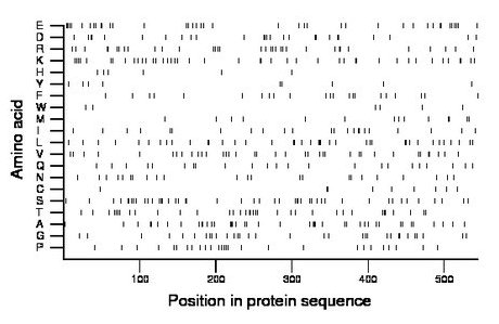 amino acid map