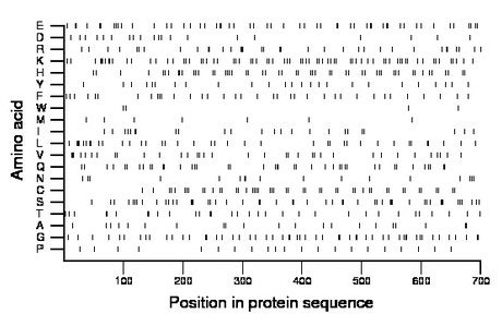 amino acid map