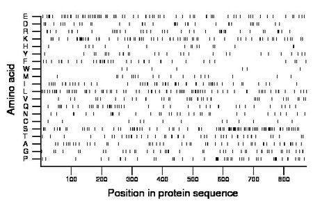 amino acid map