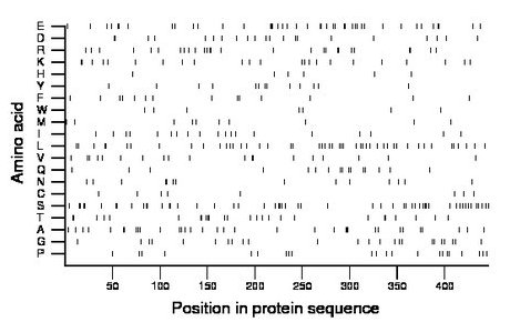 amino acid map